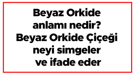 Beyaz Orkide anlamı nedir Beyaz Orkide Çiçeği neyi simgeler ve ifade eder