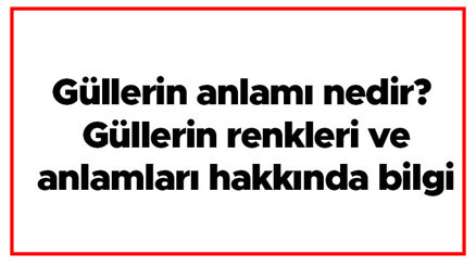 Güllerin anlamı nedir Güllerin renkleri ve anlamları hakkında bilgi