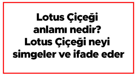Lotus Çiçeği anlamı nedir Lotus Çiçeği neyi simgeler ve ifade eder Lotus Çiçeği anlamı nedir Lotus Çiçeği neyi simgeler ve ifade eder