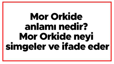 Mor Orkide anlamı nedir Mor Orkide neyi simgeler ve ifade eder Mor Orkide anlamı nedir Mor Orkide neyi simgeler ve ifade eder