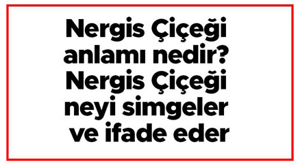 Nergis Çiçeği anlamı nedir Nergis Çiçeği neyi simgeler ve ifade eder
