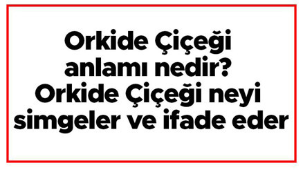 Orkide Çiçeği anlamı nedir Orkide Çiçeği neyi simgeler ve ifade eder Orkide Çiçeği anlamı nedir Orkide Çiçeği neyi simgeler ve ifade eder