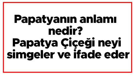 Papatyanın anlamı nedir Papatya Çiçeği neyi simgeler ve ifade eder