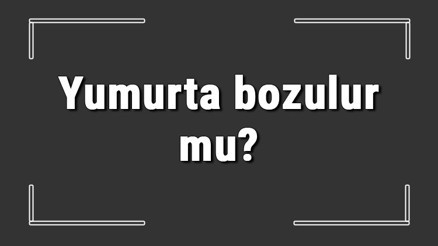 Yumurta bozulur mu Yumurta güneşte, sıcakta, donarsa ve haşlandığında bozulur mu