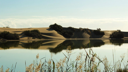 İnanılmaz ama bu da oldu Turistlerin cinsel hayatı doğaya zarar veriyor