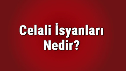 Celali isyanları nedir, sebepleri nelerdir Celali isyanlarını kim bastırdı Celali isyanları nedir, sebepleri nelerdir Celali isyanlarını kim bastırdı