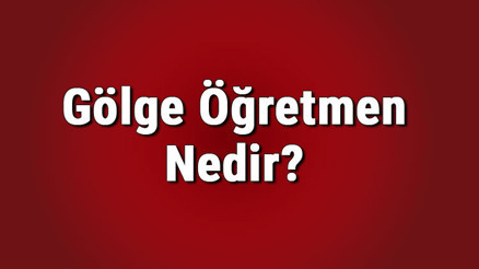 Gölge öğretmen nedir, kimler olabilir Gölge öğretmenler ne yapar