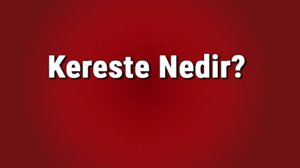 Kereste nedir, hangi ağaçtan yapılır Kereste nerelerde kullanılır