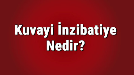 Kuvayi inzibatiye nedir, hangi amaçla kuruldu Kuvayi inzibatiye ayaklanmasını kim bastırdı