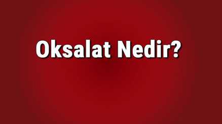 Oksalat nedir, böbrek taşı için faydalı mıdır Oksalat içeren besinler nelerdir