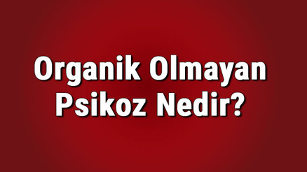 Organik olmayan psikoz nedir, belirtileri nelerdir Tanısı ve tedavi uöntemleri..