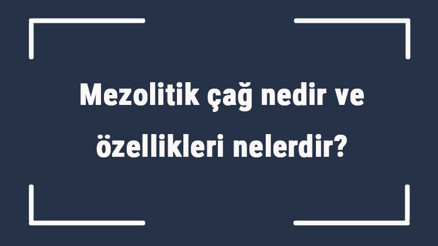 Mezolitik çağ nedir ve özellikleri nelerdir Mezolitik dönem yerleşim yerleri ve heykelciklere verilen isim Mezolitik çağ nedir ve özellikleri nelerdir Mezolitik dönem yerleşim yerleri ve heykelciklere verilen isim