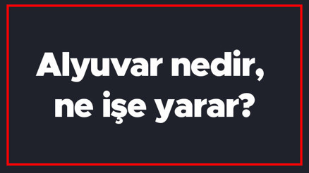 Alyuvar nedir, ne işe yarar Alyuvar hücresi nerelerde bulunur, özellikleri nelerdir