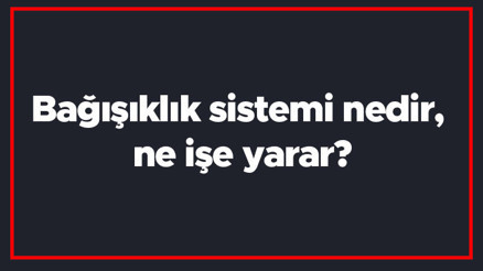 Bağışıklık sistemi nedir, ne işe yarar Bağışıklık sisteminin güçlü veya zayıf olduğu nasıl anlaşılır Bağışıklık sistemi nedir, ne işe yarar Bağışıklık sisteminin güçlü veya zayıf olduğu nasıl anlaşılır