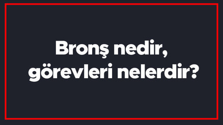 Bronş nedir, görevleri nelerdir Bronşların dolu olduğu nasıl anlaşılır, açılması içi ne yapılır