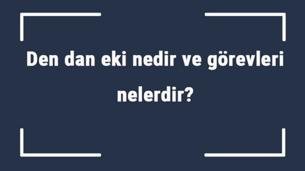 Den dan eki nedir ve görevleri nelerdir Den dan eki örnekleri ile konu anlatımı