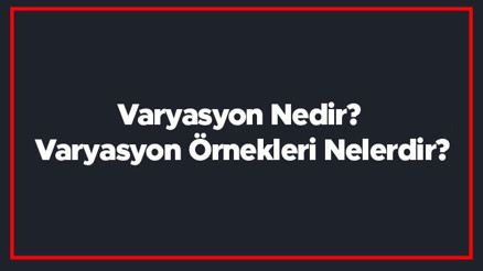 Varyasyon Nedir Varyasyon Örnekleri Nelerdir Varyasyon Nedir Varyasyon Örnekleri Nelerdir