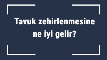 Tavuk zehirlenmesine ne iyi gelir Tavuk zehirlenmesine ne yapmak gerekir Tavuk zehirlenmesine ne iyi gelir Tavuk zehirlenmesine ne yapmak gerekir