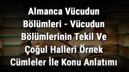 Almanca Vücudun Bölümleri - Vücudun Bölümlerinin Tekil Ve Çoğul Halleri Örnek Cümleler İle Konu Anlatımı