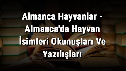 Almanca Hayvanlar - Almancada Hayvan İsimleri Okunuşları Ve Yazılışları