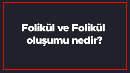 Folikül ve Folikül oluşumu nedir Folikül kist tehlikeli midir, Folikül ne kadar büyür Folikül ve Folikül oluşumu nedir Folikül kist tehlikeli midir, Folikül ne kadar büyür