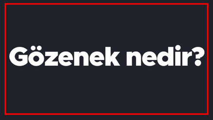 Gözenek nedir Ciltte gözenek ne demek Cilt gözenekleri küçültmek için ne yapılmalı Gözenek nedir Ciltte gözenek ne demek Cilt gözenekleri küçültmek için ne yapılmalı