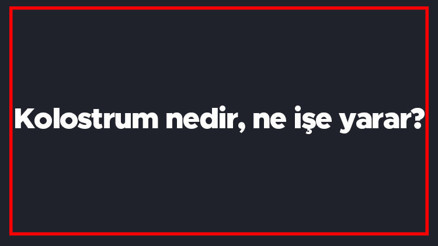 Kolostrum nedir, ne işe yarar Kolostrumun özelliği nedir, hangi vitaminlerde bulunur Kolostrum nedir, ne işe yarar Kolostrumun özelliği nedir, hangi vitaminlerde bulunur