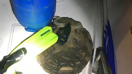 Yasa dışı su ürünleri avlayanlara 44 bin lira ceza