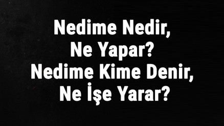 Nedime Nedir, Ne Yapar Nedime Kime Denir, Ne İşe Yarar