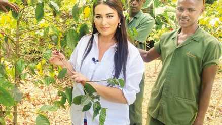 Kilimanjaro’nun eteklerinde bir kahve macerası