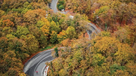 Rengârenk Belgrad Ormanı ve hazineleri