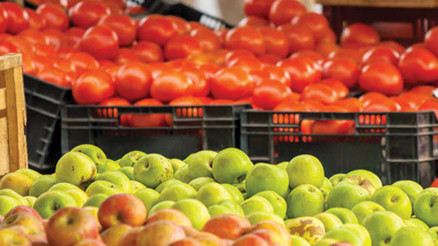 Meyve sebzenin yarısı israf ediliyor
