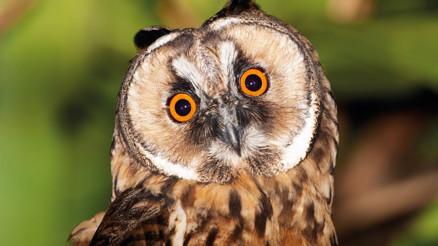 Belgeseli izlerken ‘Vay canına, ülkemizde bunlar var mıymış’ diyecek insanlar Belgeseli izlerken ‘Vay canına, ülkemizde bunlar var mıymış’ diyecek insanlar