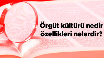 Örgüt kültürü nedir, özellikleri nelerdir Örgüt kültürü kavramı hangi bilim dalı ile ilişkilidir