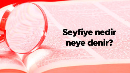 Seyfiye nedir, neye denir Seyfiye sınıfı üyeleri nelerdir Seyfiye nedir, neye denir Seyfiye sınıfı üyeleri nelerdir