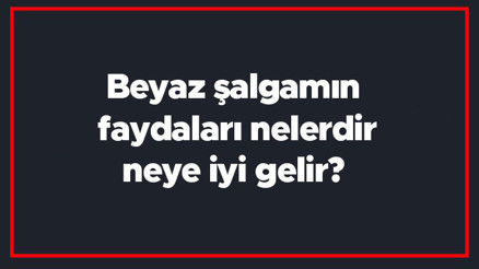 Beyaz şalgamın faydaları nelerdir, neye iyi gelir Şalgam turpu ne işe yarar Aç karnına içilir mi
