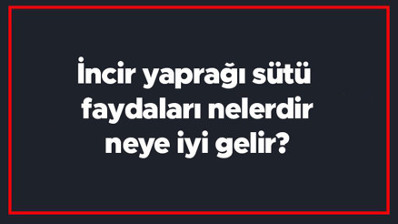 İncir yaprağı sütü faydaları nelerdir, neye iyi gelir İncir yaprağı sütü yüze uygulanır mı, siğile sürülür mü İncir yaprağı sütü faydaları nelerdir, neye iyi gelir İncir yaprağı sütü yüze uygulanır mı, siğile sürülür mü