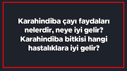 Karahindiba çayı faydaları nelerdir, neye iyi gelir Karahindiba bitkisi hangi hastalıklara iyi gelir