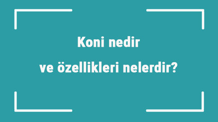 Koni nedir ve özellikleri nelerdir Kısaca koni konu anlatımı