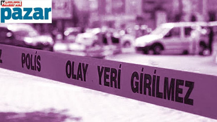 Bu yıl en az 306 kadın öldürüldü