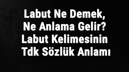 Labut Ne Demek, Ne Anlama Gelir Labut Kelimesinin Tdk Sözlük Anlamı