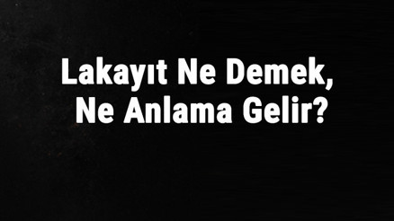 Lakayıt Ne Demek, Ne Anlama Gelir Lakayt Kelimesinin Tdk Sözlük Anlamı
