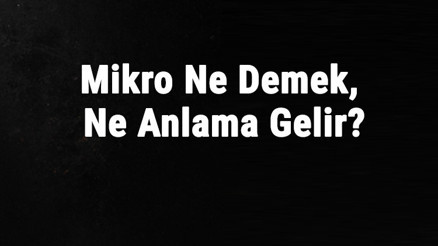 Mikro Ne Demek, Ne Anlama Gelir Mikro Kelimesinin Tdk Sözlük Anlamı