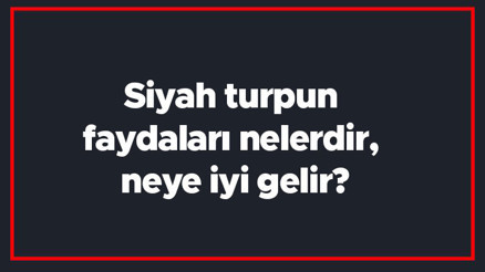 Siyah turpun faydaları nelerdir, neye iyi gelir Siyah turp hangi hastalıklara iyi gelir