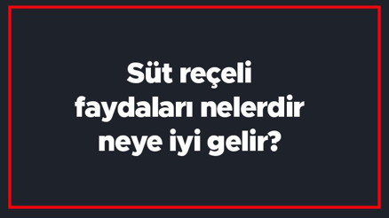 Süt reçeli faydaları nelerdir, neye iyi gelir süt reçeli ne işe yarar, kahvaltıda yenir mi