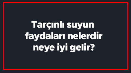 Tarçınlı suyun faydaları nelerdir, neye iyi gelir Tarçınlı su nasıl hazırlanır, ne zaman içilmeli