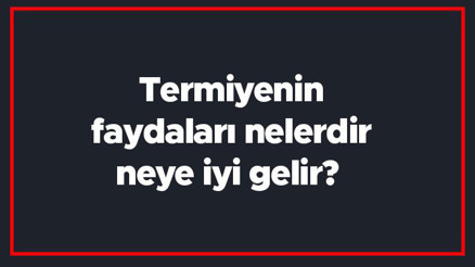 Termiyenin faydaları nelerdir, neye iyi gelir Termiye ne zaman yenir, termiyenin acısı nasıl giderilir