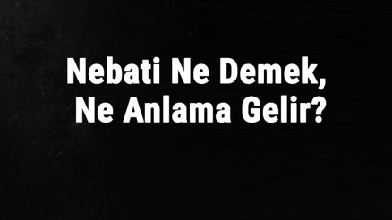 Nebati Ne Demek, Ne Anlama Gelir Nebati Kelimesinin Tdk Sözlük Anlamı