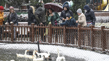 Kar beraberinde kazaları da getirdi