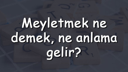 Meyletmek ne demek, ne anlama gelir Meyletmek bitişik mi yazılır ayrı mı TDK sözlük anlamı Meyletmek ne demek, ne anlama gelir Meyletmek bitişik mi yazılır ayrı mı TDK sözlük anlamı